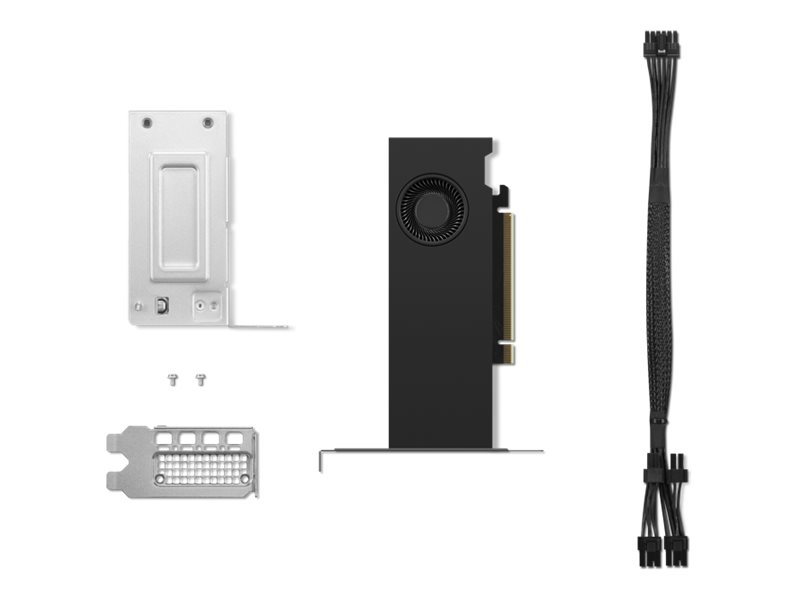 Lenovo NVIDIA RTX - Grafikkarte - NVIDIA RTX 2000 Ada16 GB GDDR6 - PCIe 4.0 x8 Low-Profile - 4 x DisplayPort - für ThinkPad T16 Gen 4 21QN