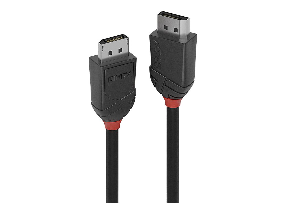Lindy DisplayPort-Kabel - DisplayPort (M)zu DisplayPort (M) - DisplayPort 1.2 - 1.5 m - 4K Unterstützung - Schwarz