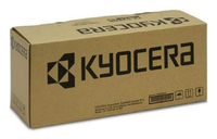Kyocera TK 3170 - Schwarz - original - Tonerpatronefür ECOSYS P3050DN - P3055DN - P3060DN