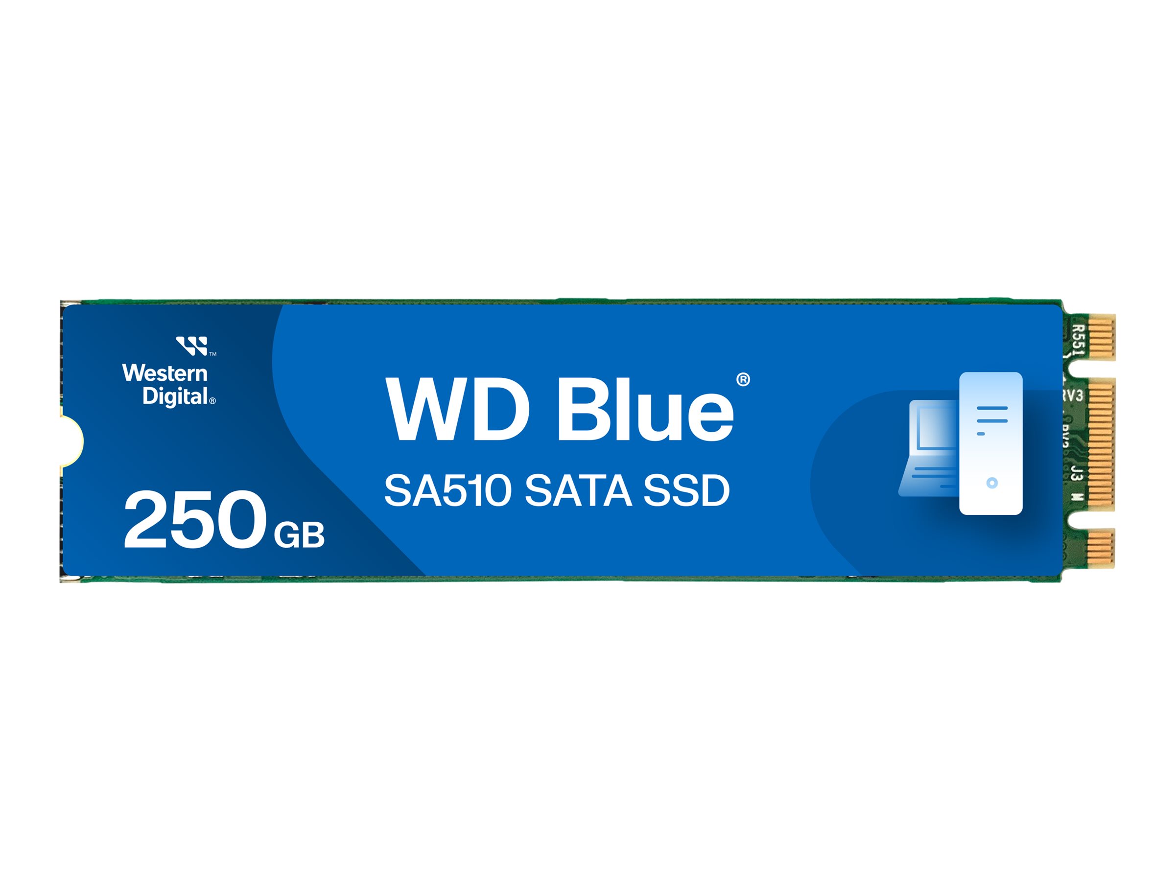 WD Blue SA510 WDS250G3B0B - SSD - 250 GB - internM.2 2280 - SATA 6Gb/s - Blau