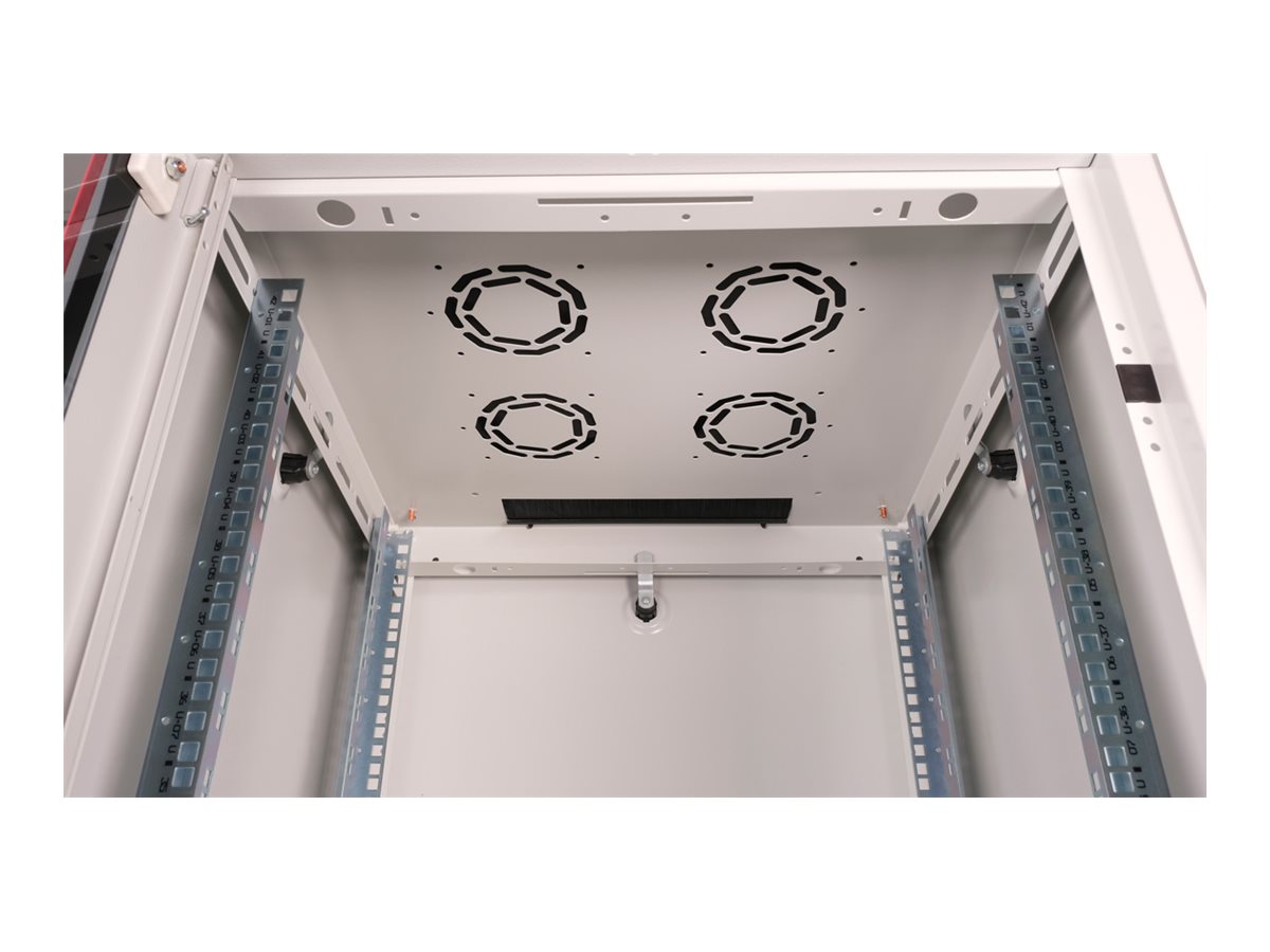 ROLINE Basic - Gehäuse Netzwerkschrank - mit Glastür, 600 x 600 mm (B x T)RAL 7035 - Hellgrau - 42HE - 48.3 cm (19")