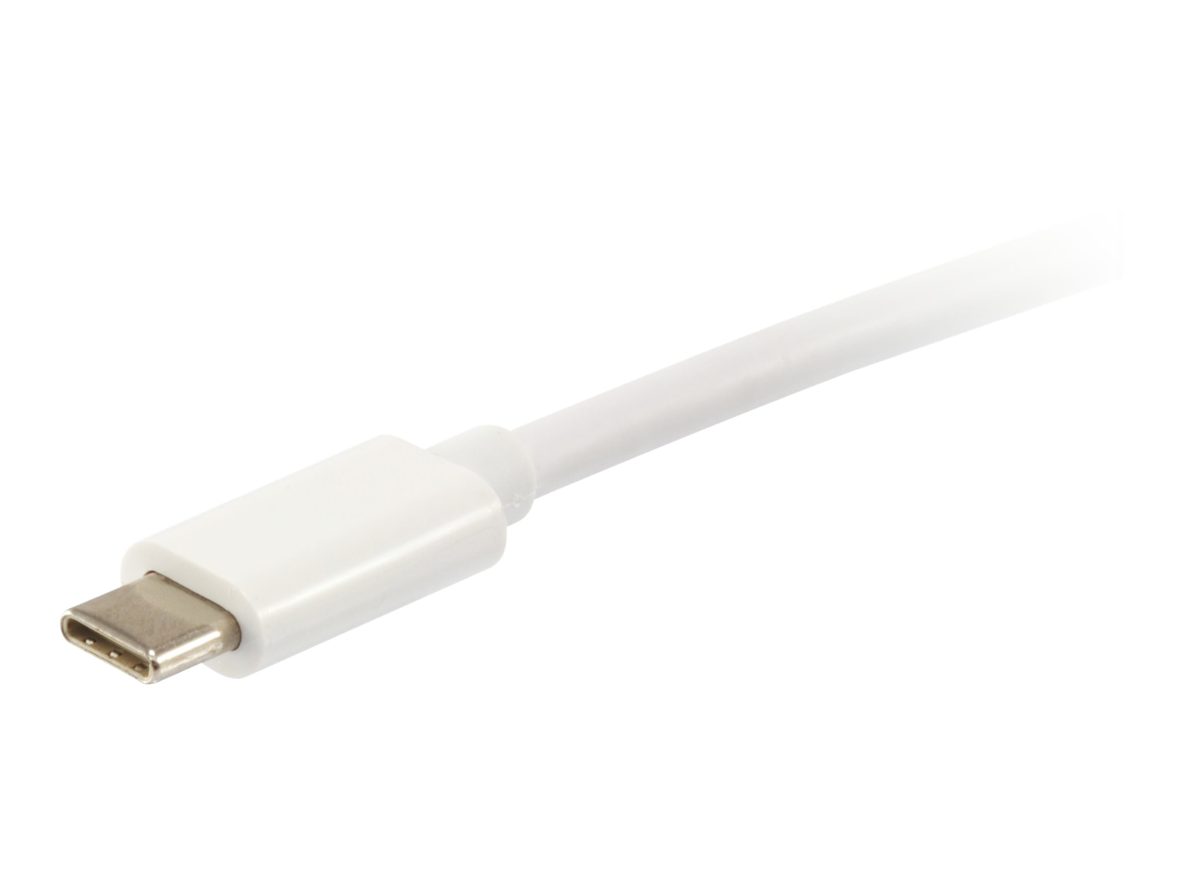 Equip Platinum - USB-Kabel - USB-C (M) zu USB-C (M)USB 3.1 - 3 A - 2 m