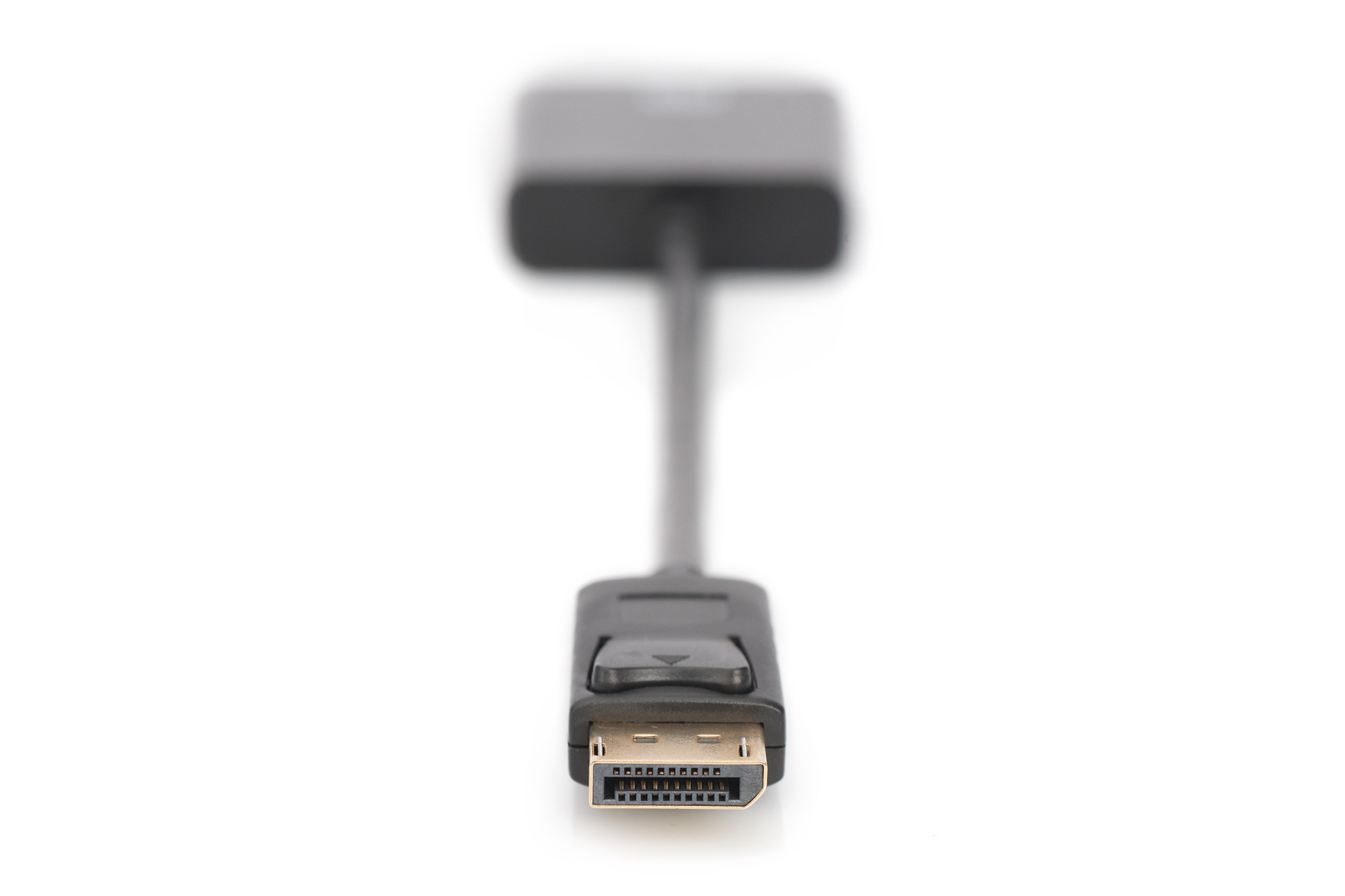 DIGITUS DisplayPort Adapter / Konverter15 cm - geformt - Schwarz