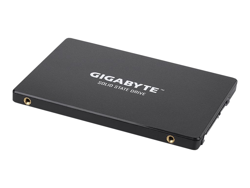 Gigabyte SSD - 256 GB - intern - 2.5" (6.4 cm)SATA 6Gb/s