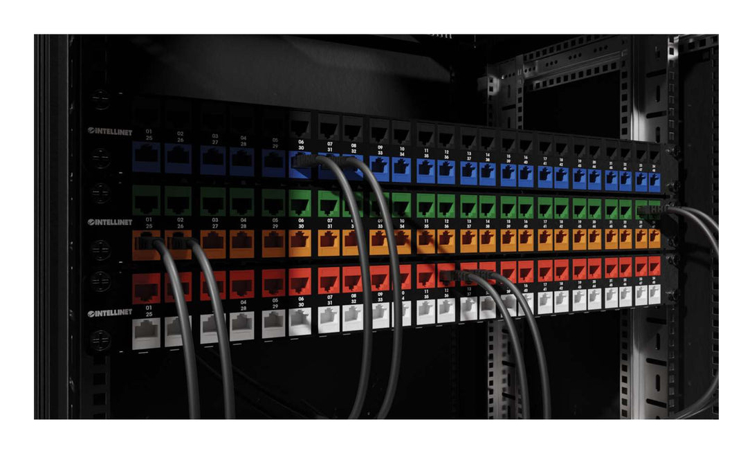 Intellinet Modulare Eingabe - slim, toolless10G - CAT 6a - abgeschirmt - weiß - 1 Anschluss