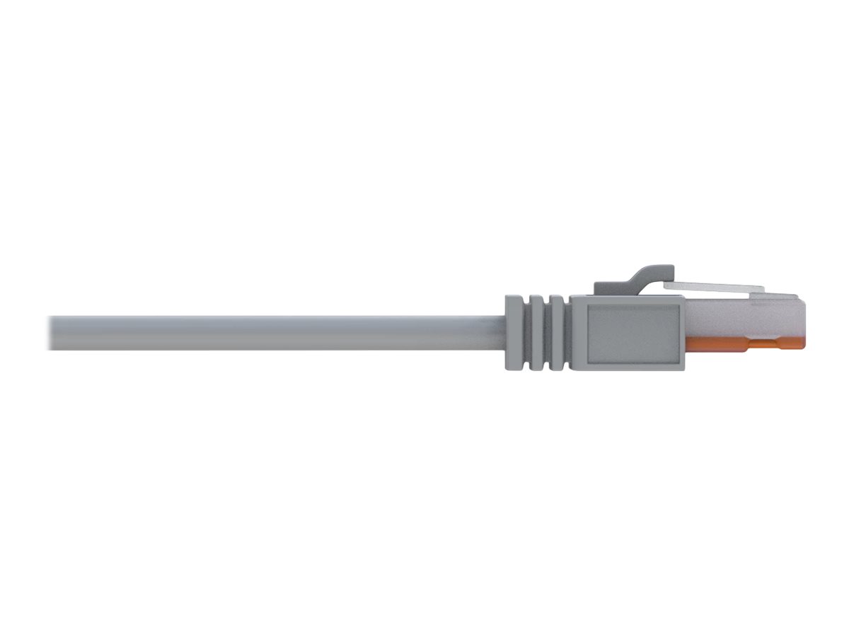 Teltonika Netzwerkkabel - RJ-45 (M) lang zu RJ-45 (M)lang - Foiled Unshielded Twisted Pair (F/UTP) - CAT 5e - verseilt - für Teltonika RUT200 - RUT951 - RUT956 - RUTX14 - TCR100 - TSW101 - TSW114 - TS
