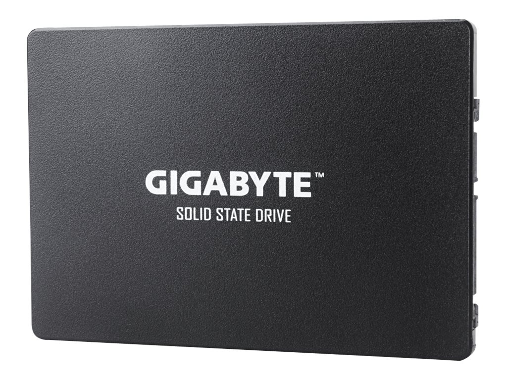 Gigabyte SSD - 256 GB - intern - 2.5" (6.4 cm)SATA 6Gb/s