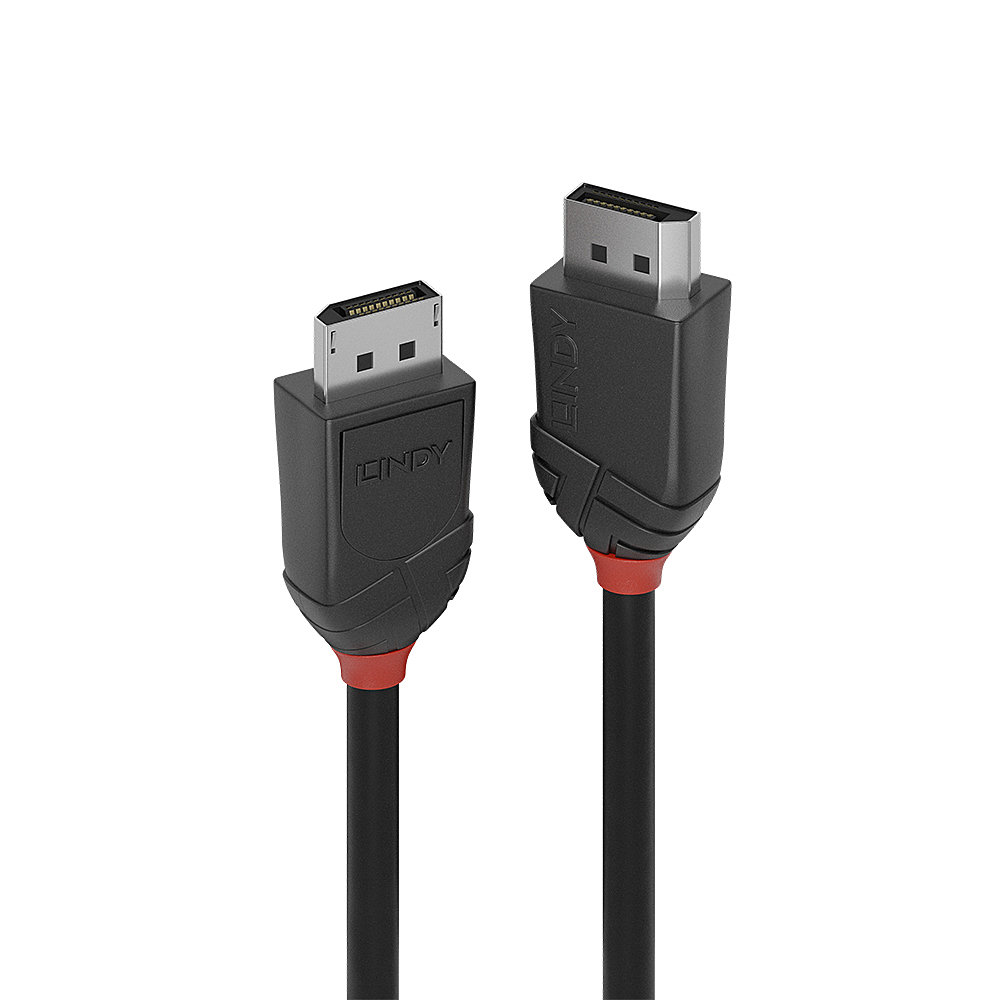 Lindy DisplayPort-Kabel - DisplayPort (M)zu DisplayPort (M) - DisplayPort 1.2 - 1.5 m - 4K Unterstützung - Schwarz