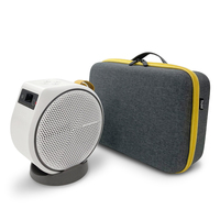 BenQ 5J.JS809.001, Tragetasche, Benq, Grau, GV31, 245 mm, 315 mm