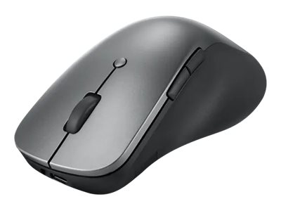 Lenovo Professional - Maus - ergonomisch - optischblau - 6 Tasten - kabellos - Bluetooth 5.1 - Storm Gray - für ThinkPad T16 Gen 4 21QN