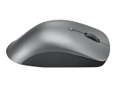 Lenovo Professional - Maus - ergonomisch - optischblau - 6 Tasten - kabellos - Bluetooth 5.1 - Storm Gray - für ThinkPad T16 Gen 4 21QN