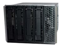 Intel Drive Bay - Kit - Gehäuse für Speicherlaufwerke - 3.5" (8.9 cm)Zubehör Server