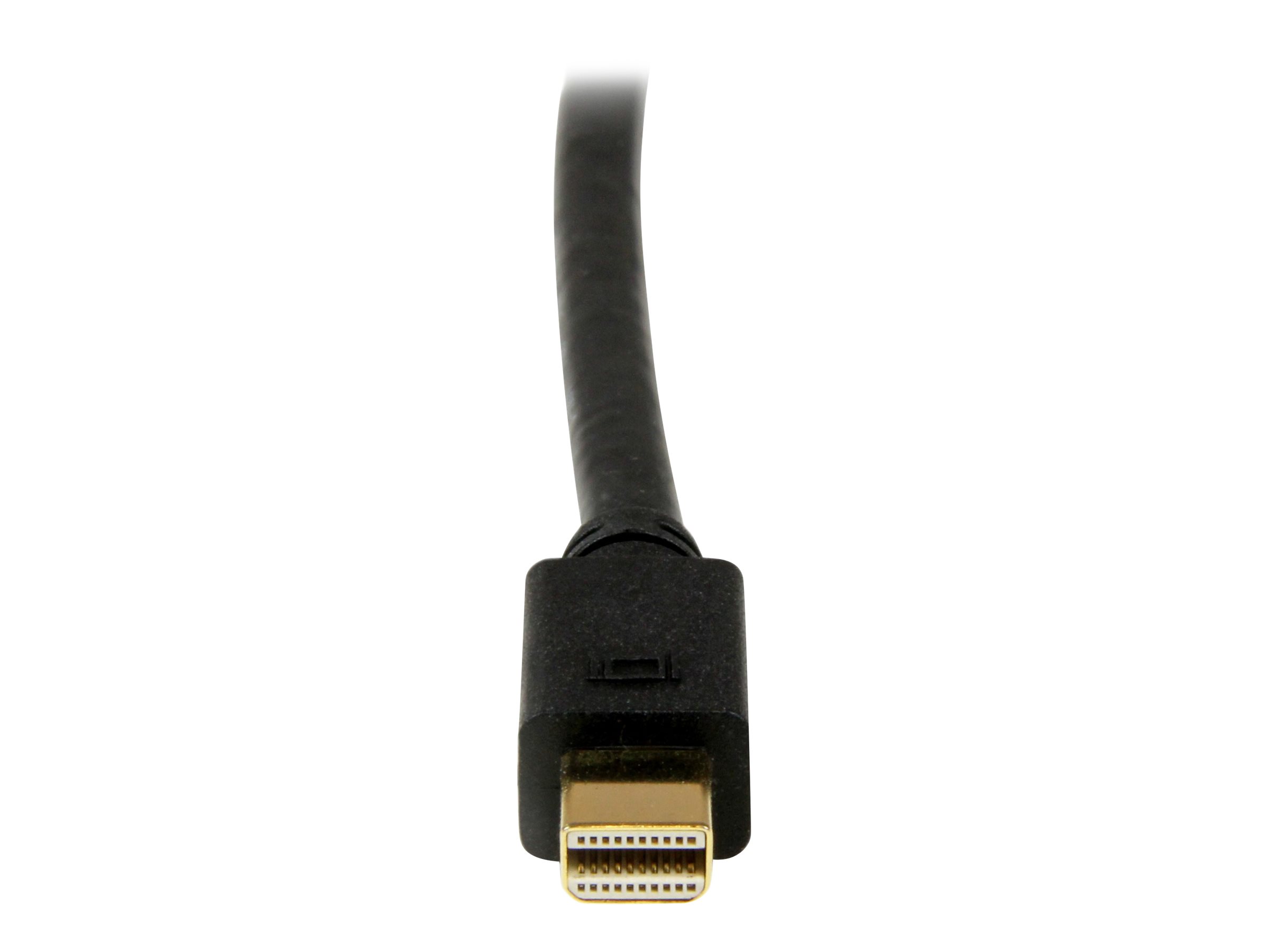 StarTech.com 1,8m Mini DisplayPort auf DVI Kabel (Stecker/Stecker)mDP zu DVI Adapter / Konverter für PC / Mac - 1920x1200 - Schwarz - DisplayPort-Kabel - Mini DisplayPort (M) zu DVI-D (M) - 1.82 m - S