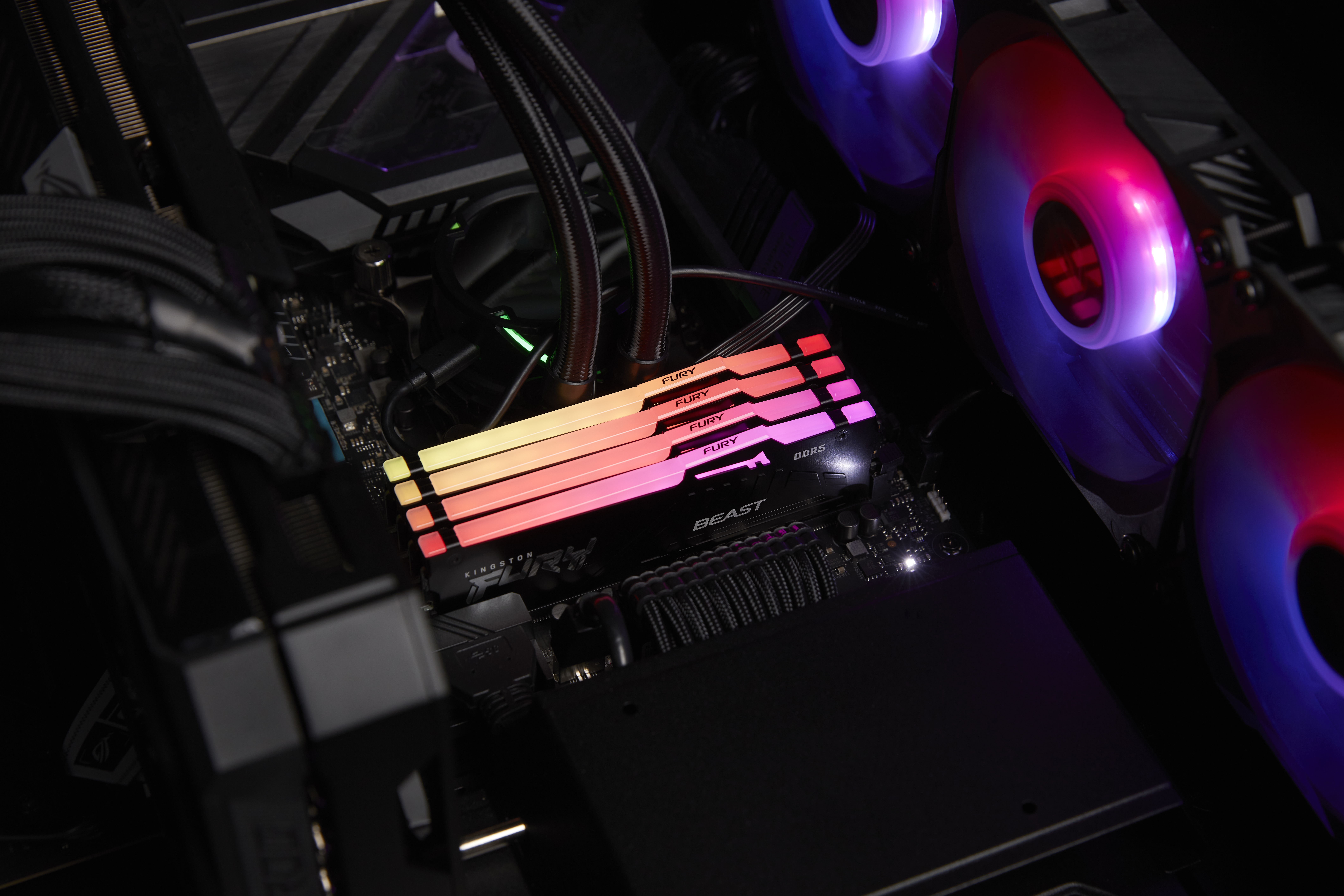 Kingston FURY Beast RGB - DDR5 - Modul - 32 GBDIMM 288-PIN - 5200 MT/s / PC5-41600 - CL40 - 1.25 V - ungepuffert - on-die ECC