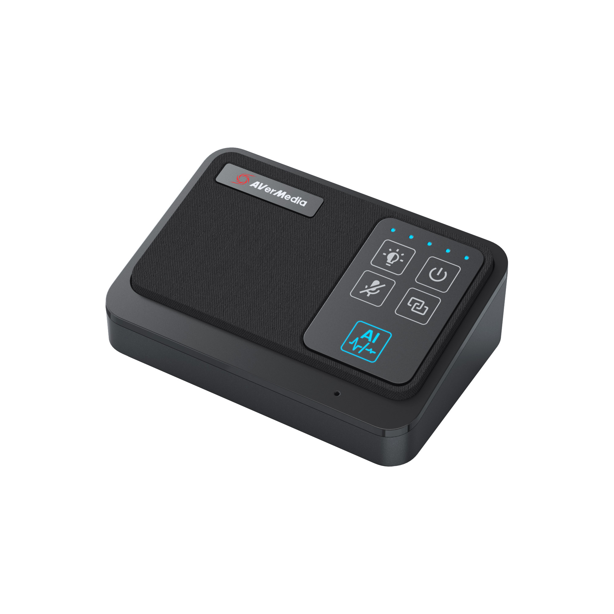 AVer Funkmikrofon-Set für PA511D AW111 61AW111000AB