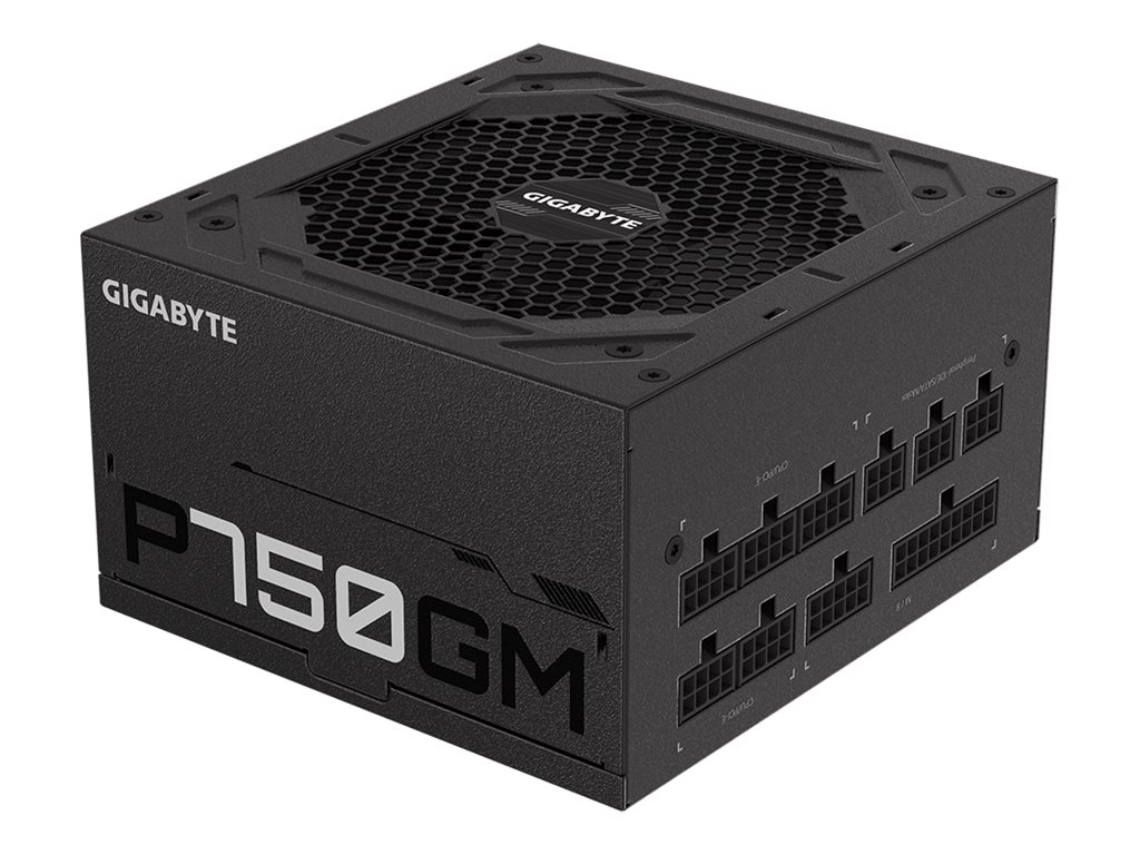 Gigabyte P750GM - Netzteil (intern) - ATX12V2.31 - 80 PLUS Gold - Wechselstrom 100-240 V - 750 Watt - aktive PFC