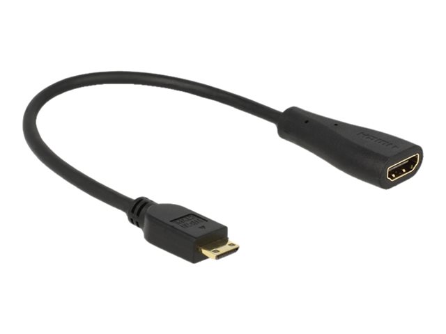Delock HDMI-Kabel mit Ethernet - 19 pin miniHDMI Type C männlich zu HDMI weiblich - 23 cm - Schwarz