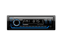 Blaupunkt BPA 1124 DAB BT, Schwarz, Drehregler, CT, EON, PTY, REG, MP3, WMA, LCD, A2DP, AVRCP, HFP, SPP