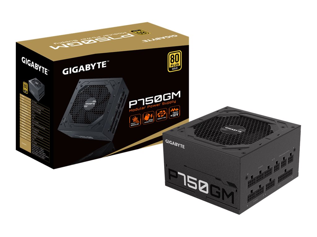 Gigabyte P750GM - Netzteil (intern) - ATX12V2.31 - 80 PLUS Gold - Wechselstrom 100-240 V - 750 Watt - aktive PFC