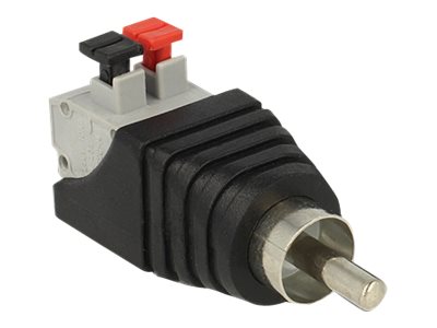 Delock Audio-Adapter - 2-polige Klemmleistemännlich zu RCA männlich