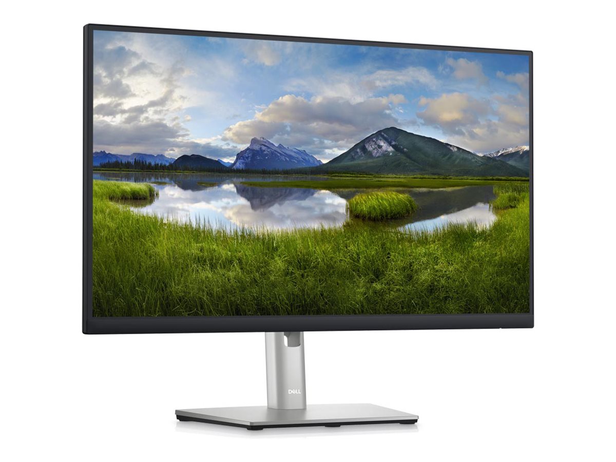 Dell P2423DE - LED-Monitor - 61 cm (24") - 2560x 1440 QHD @ 60 Hz - IPS - 300 cd/m² - 1000:1 - 5 ms - HDMI - DisplayPort - USB-C - Schwarz - TAA-konform - mit 3 Jahre erweiterter Austauschservice und