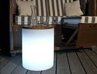 8 seasons design 32359S, Leichte Dekorationsfigur, Weiß, Polyethylen, IP44, 1 Glühbirne(n), E27