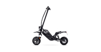 Acer Predator Extreme PES017, 35 km, Lithium-Ion (Li-Ion), 48 V, 10,5 Ah, 4 h, LCD 0,6 m