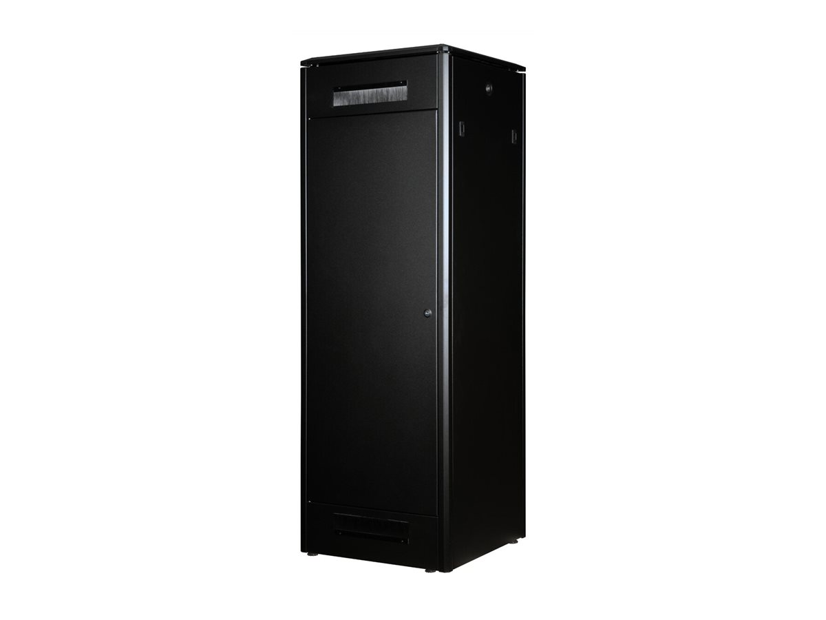 ROLINE Pro - Schrank Netzwerkschrank - mit Glastür, 600 x 600 mm (B x T)RAL 9005 - Jet Black - 36U - 48.3 cm (19")