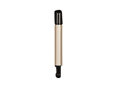 Transcend JetFlash 930C - USB-Flash-Laufwerk128 GB - USB 3.2 Gen 1 / USB-C - Gold