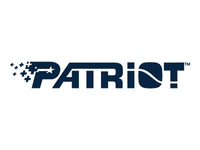 PATRIOT P210 - SSD - 256 GB - intern - 2.5" (6.4 cm)SATA 6Gb/s