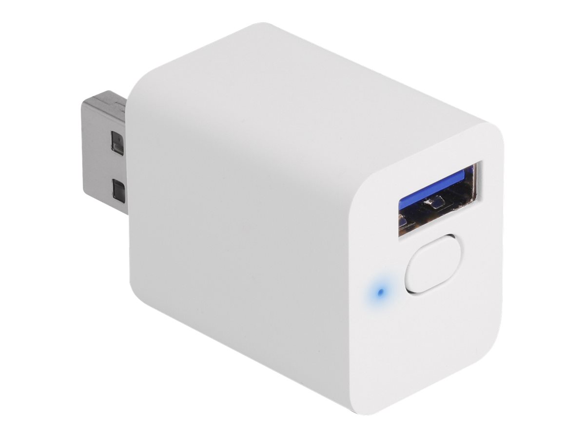 Delock Smart-Schalter - WLAN, EASY-USB, MQTTkabellos - 802.11b/g/n - 2.4 Ghz - weiß
